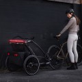 pol_pl_Przyczepka-rowerowa-dla-dziecka-podwojna-Thule-Chariot-Sport-2-Black-33124_5.jpg